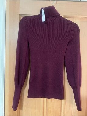 Ann Taylor Ribbed Turtleneck Sweater in Wine